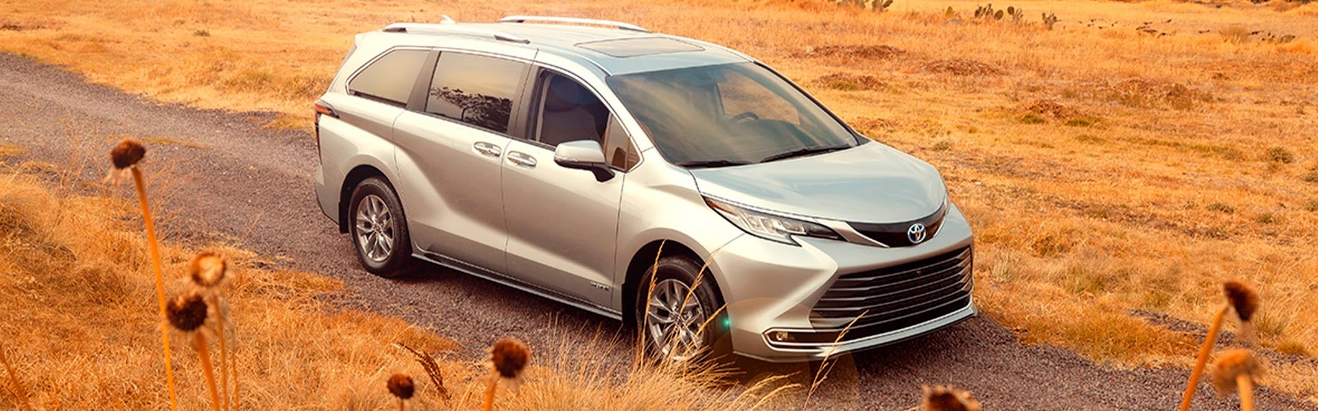 Toyota Polanco in Miguel Hidalgo CDMX